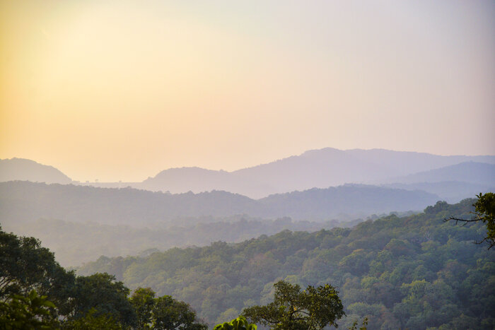 Witness the Enchanting Western Ghats