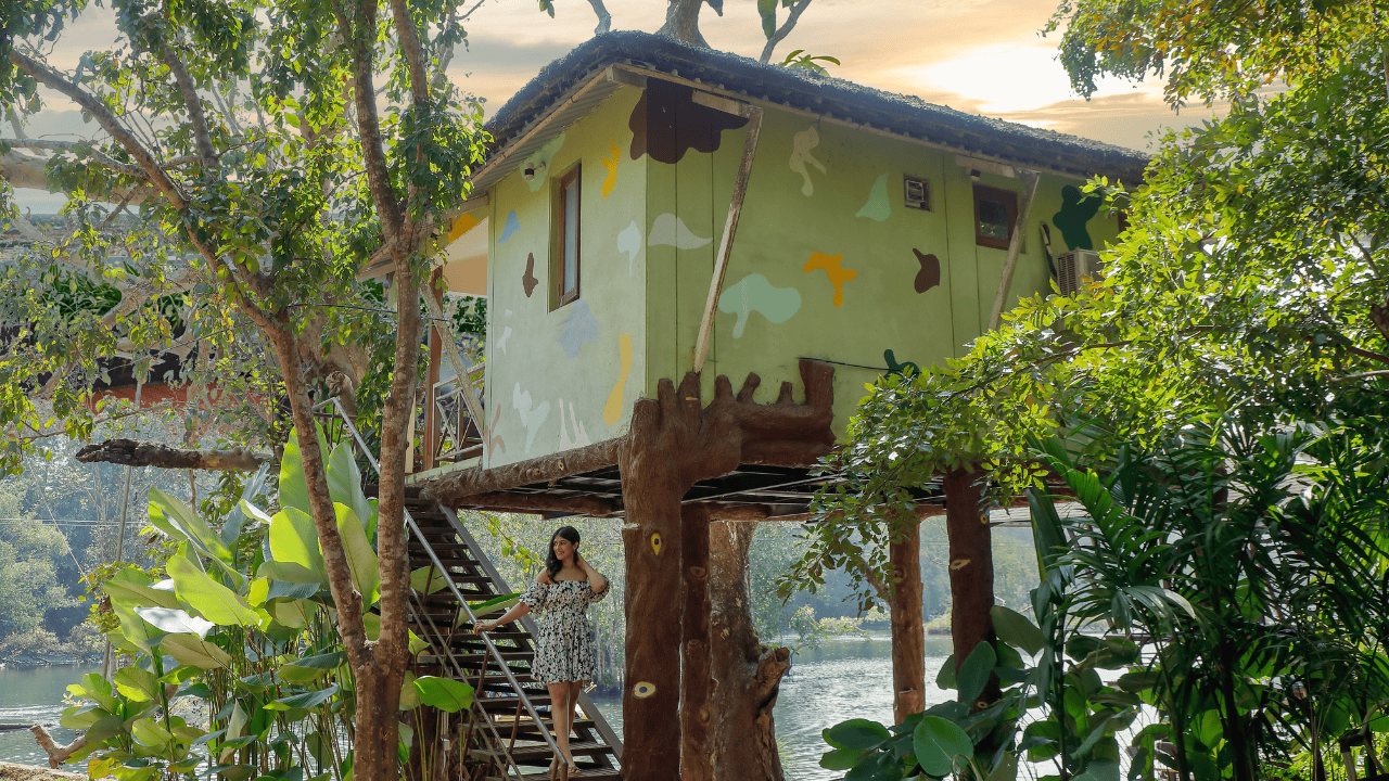 Dandeli Tree House