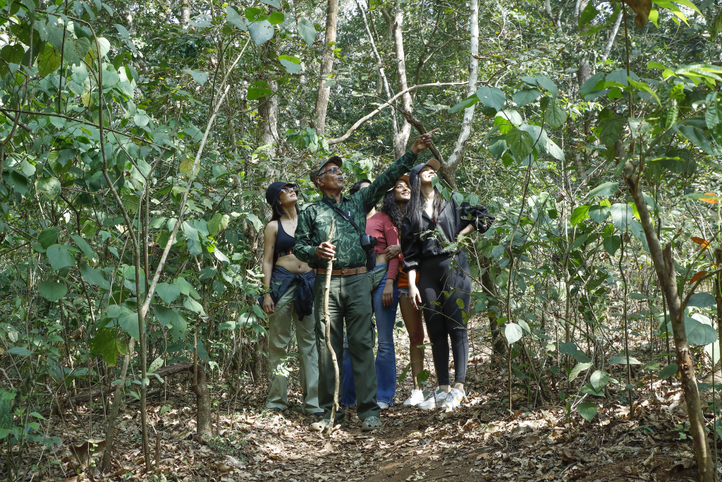 A group of tourists on a guided forest trek at the best resorts in Dandeli, surrounded by lush greenery and dense jungle, with a naturalist pointing out wildlife or plant features | Whistling Woodzs Resort