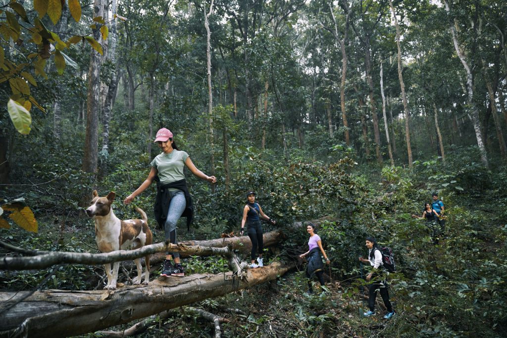 Group of trekkers exploring a dense forest trail near the best resorts in Dandeli, showcasing adventure, nature, and wilderness experiences | Whsitling Woodzs